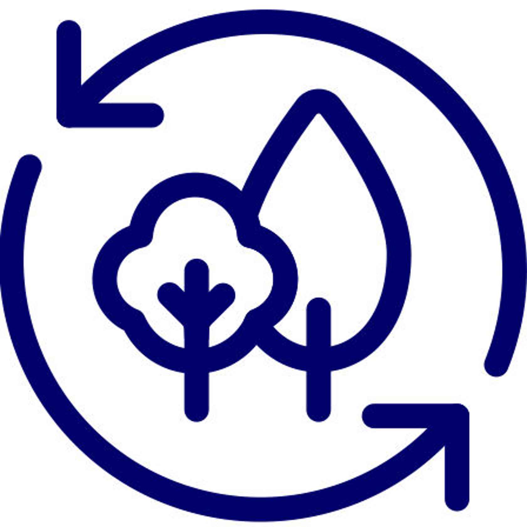 Finex Group Plc. current account